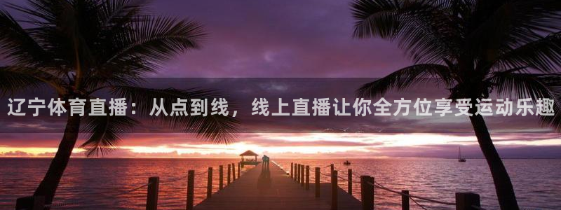 辽宁体育直播：从点到线，线上直播让你全方位享受运动乐趣